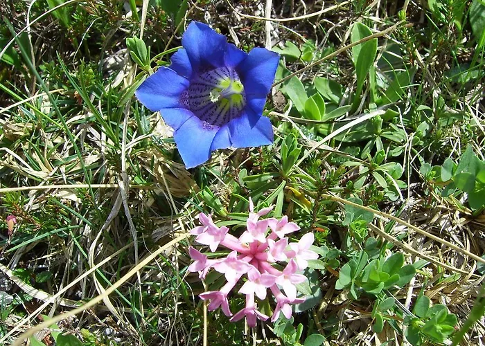 Rief Daheim Beim Wanderprofi Adults Only *